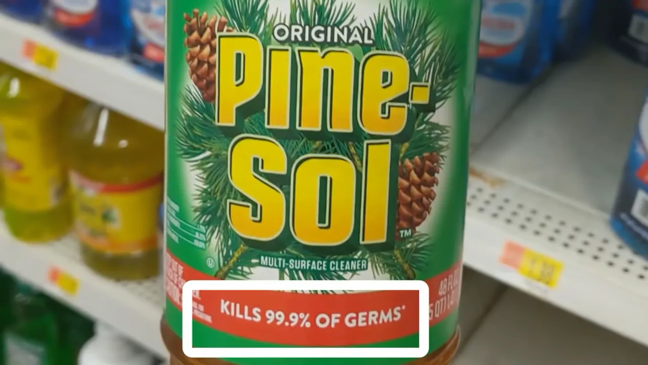 Does Pine Sol Kill Ants? (Yes. It Will)