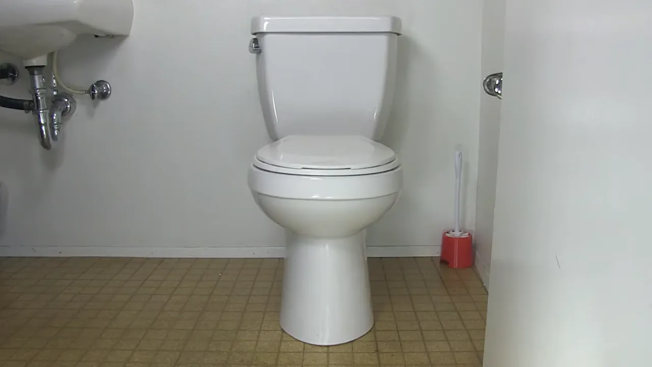 How to Easily Install a Toilet Flapper