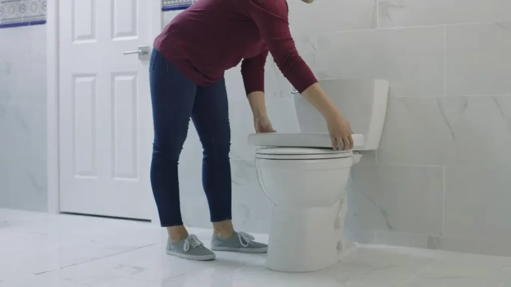 Test The New Toilet Handle