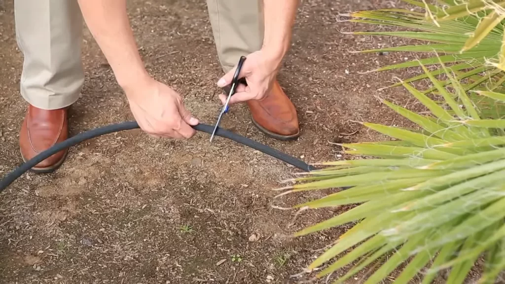 Gathering The Essential Tools And Materials