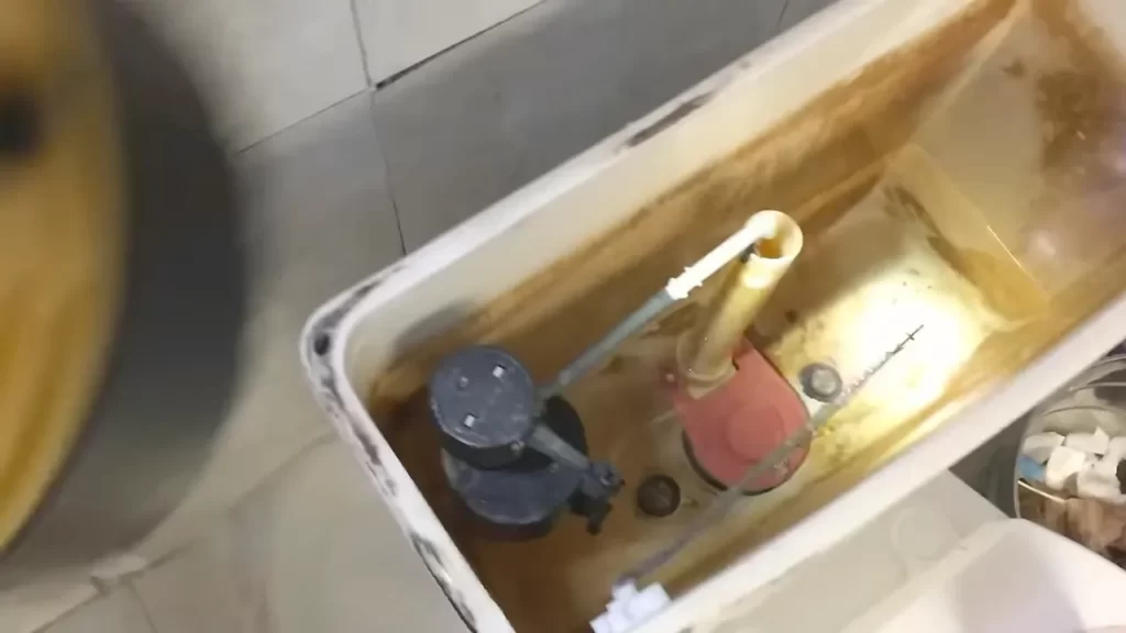 Draining The Toilet Tank