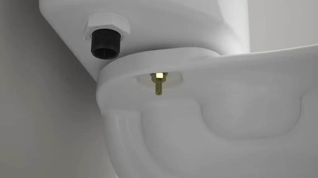 Placing The Toilet Bowl