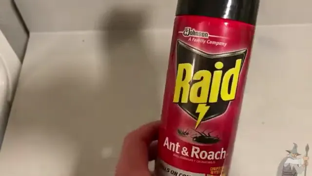 Does Raid Kill Ants? (Yes. It Works)