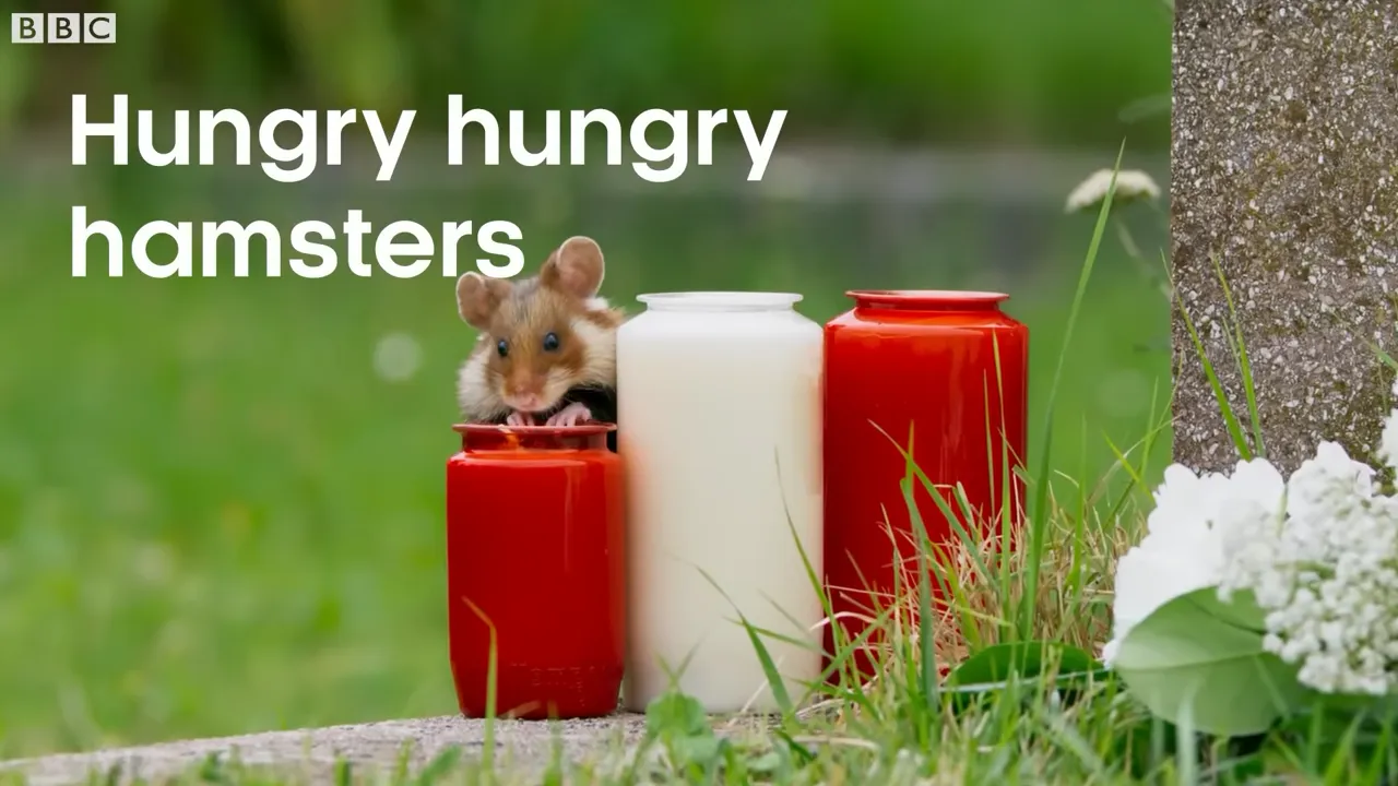 Do Mice Eat Wax Candles? (But Why?)